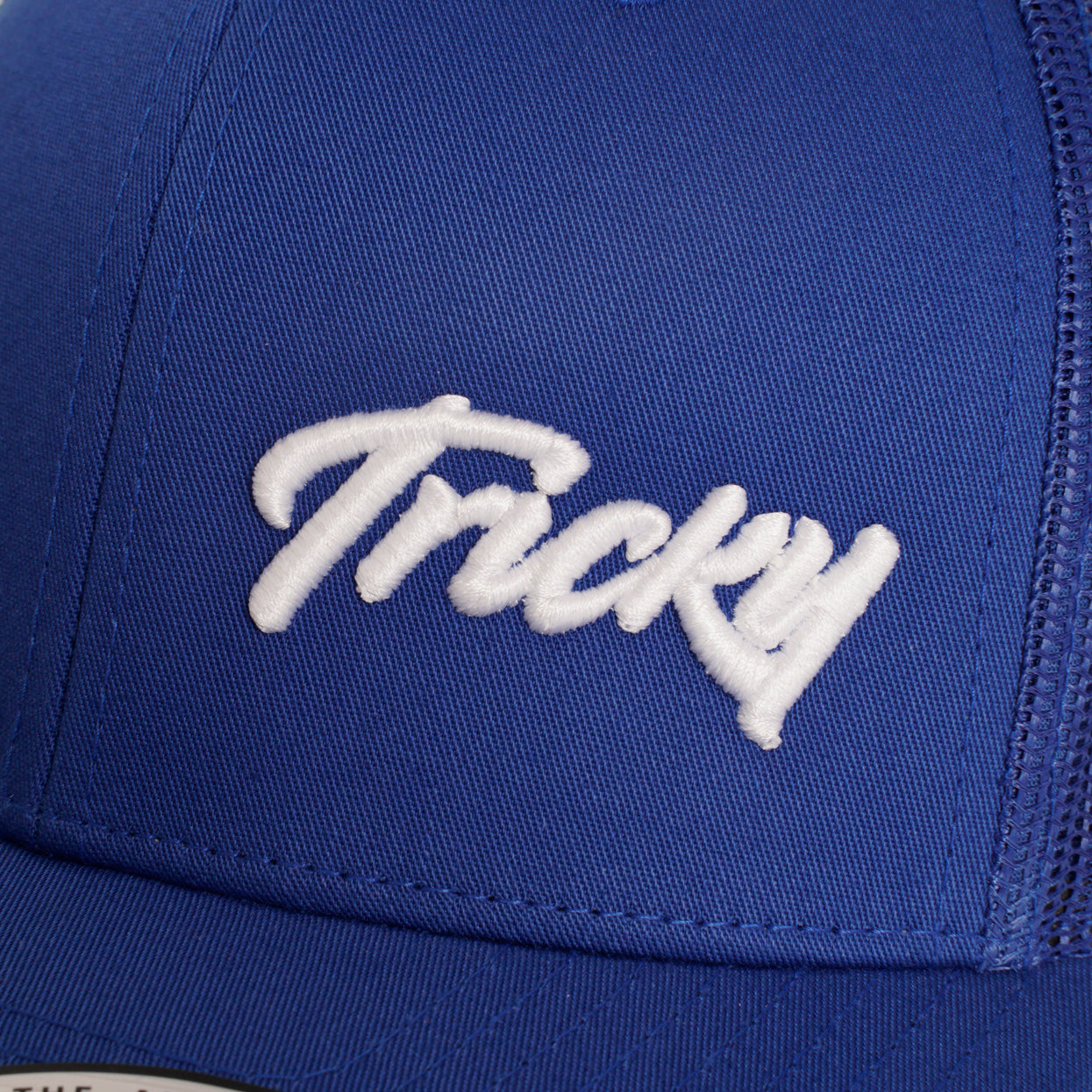 TRICKY SMALL LOGO 6 PANEL MESH TRUCKER CAP COBALT